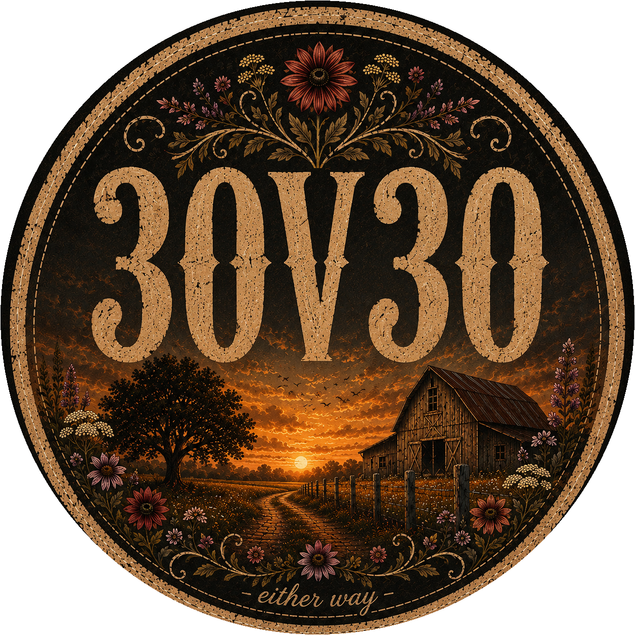 30V30 logo